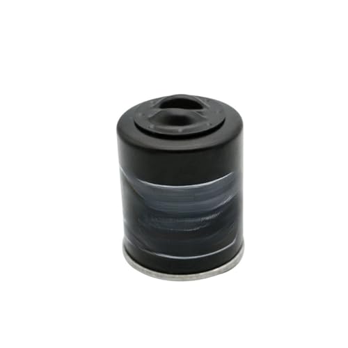 Filtre à carburant et filtre à huile pour moto et scooter Liberty Sport 125 150