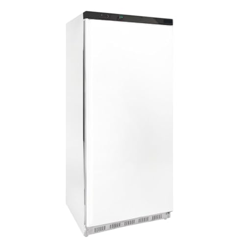 Générique Armoire Réfrigérée Négative 600L – Température ≤ -18°C – Stockage Volumineux – Classe B – Idéale pour la Restauration