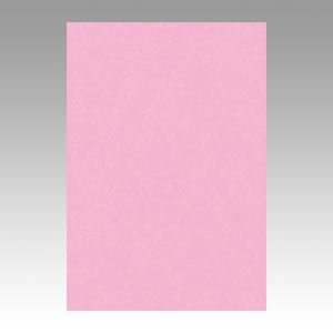 iƖpZbgj ^ j[J[R c 271×c392mm 8NCR-234 Ƃ 100 y×2Zbgz ds-1530460