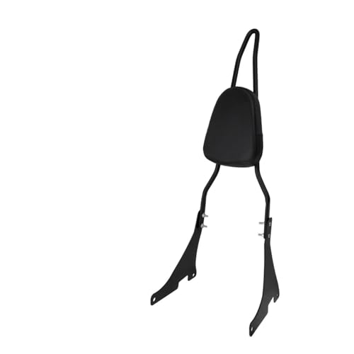 Support porte-bagages et dossier amovible pour Sportster XL883 XL1200