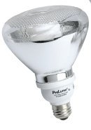 Compact Flourescent 16 Watt Spiral 5000K Reflector