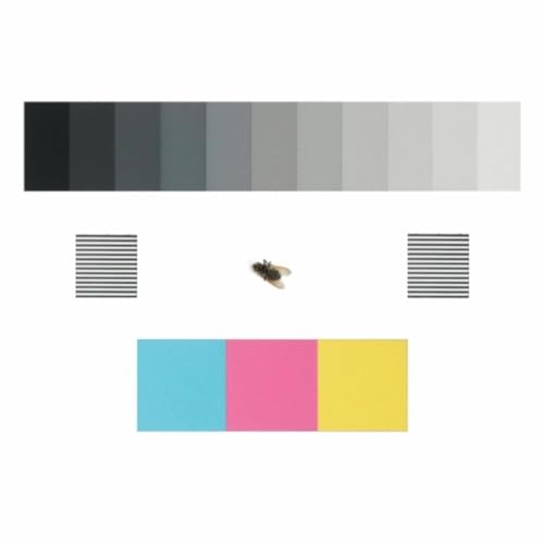 Snubnosed Evolver (Alternative Mix)
