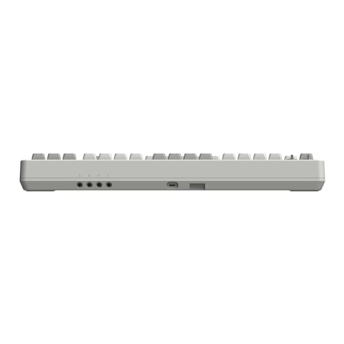Image of 8Bitdo Retro Mechanical Keyboard, Bluetooth /2.4 G /USB-C Hot Swap Gaming Keyboard, 87 Keys, English Layout, Dual Super Programmable Buttons (M Edition) Suitable for Windows and Android