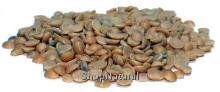 Yellow Split Peas 25 lbs. 25# Bulk