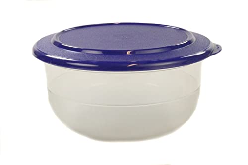 TUPPERWARE Ciotola 1,1L blu medio scuro