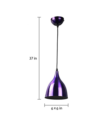 Image of DarkVision Corded Electric,Metal Hanging Pendant Light, Black (Copper (Pack of 1), with Bulb)