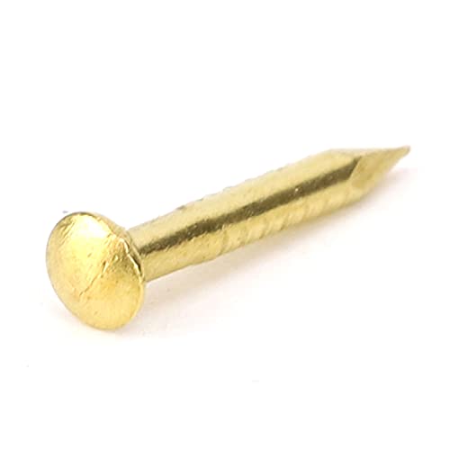 Clous en Laiton Dorés, 100pcs Clous à Tête Ronde Laiton Meubles Grosse Tête 20mm Accessoires 10mm/15mm/18mm/22mm15mm Longueur den Clou Plat Rond Charnière Matériel (10 mm de long)