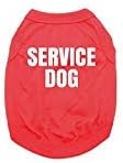 Baxter Boo Service Dog Shirt - Red (Medium)