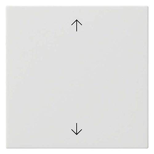 Preisvergleich Produktbild Gira Bedienaufsatz rws 536103