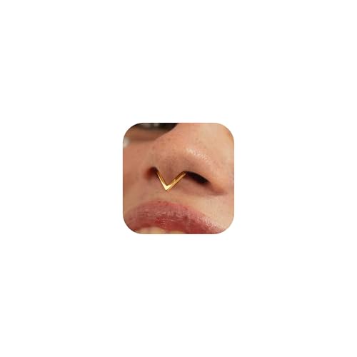 BodyBonita 16G Triangle Septum Rings Jewelry - 316L Stainless Steel Nose Rings Hoops Nostril...