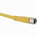 TURCK PKG 3M-2 Cordset, Straight M8 Female to Cut-end, Yellow, 3 cond, 2 Meters, PVC