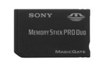 Sony - Flash memory card - 1 GB - MS PRO DUO