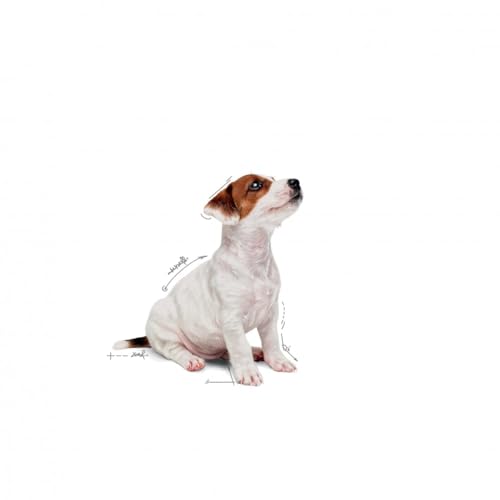 Image of Royal Canin Mini, Puppy Food, Pack of 10, Wet Food, Supports Immune System, Brain Development & Digestive Health