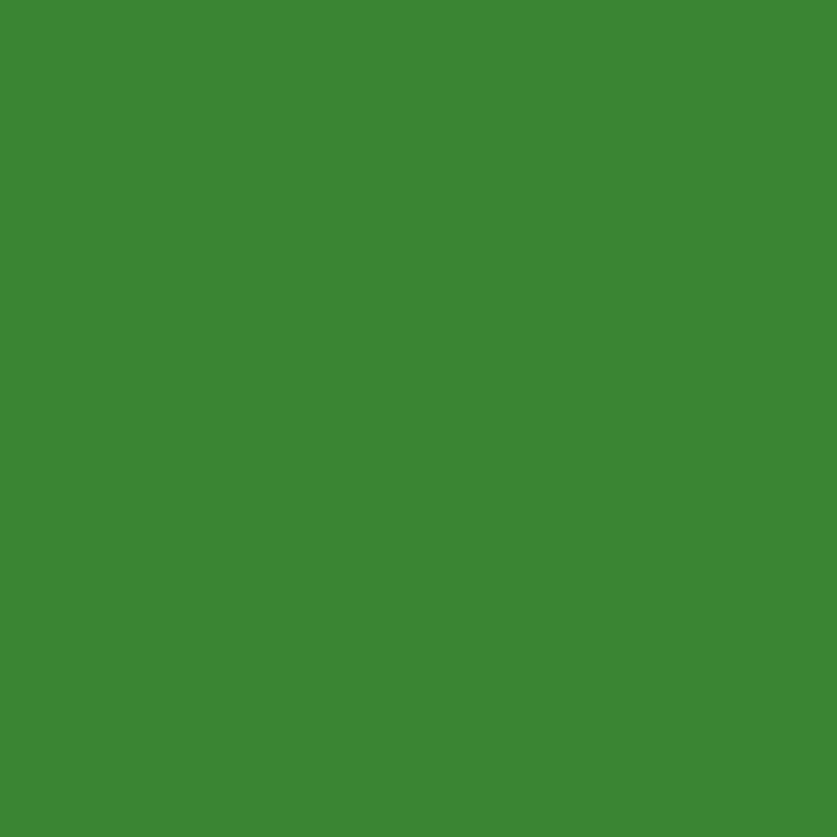 ARCANE INDUSTRIES Peinture Gazon, pelouse, végétation : ARCAGREEN - 1 L Vert