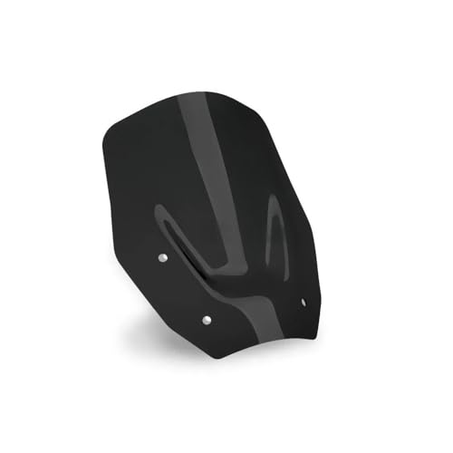 Bulle Pare-Brise Avant Moto pour R 1300 GS 1300GS Accessoires