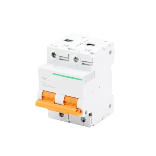 Disjoncteur interrupteur à air type D série Easy9 2P 100A pour tableau