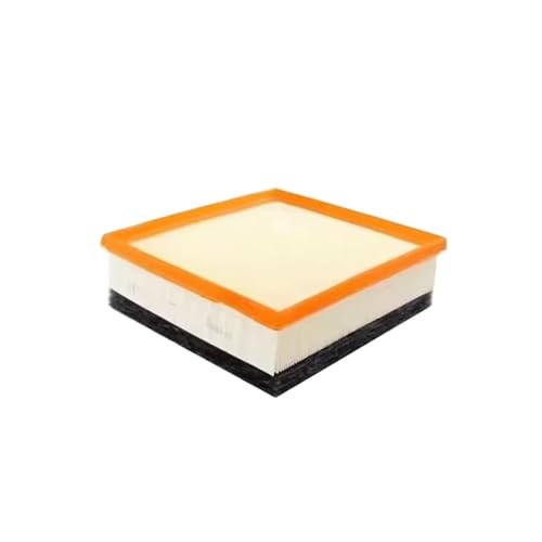 Filtro de motor 13718511668 y 17692679802 para la renovación de tu vehículo