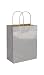 EGP Metallic Silver Kraft Paper Shopper