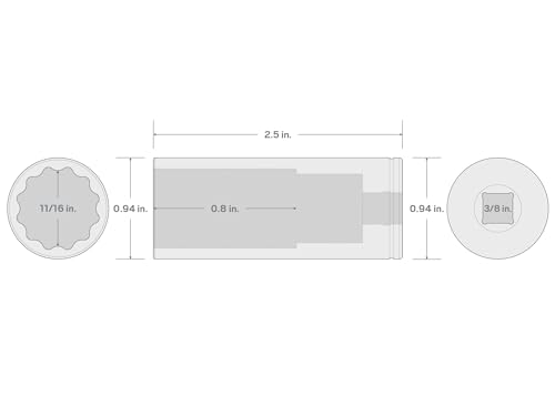 Image of TEKTON 3 /8 Inch Drive x 11 /16 Inch Deep 12-Point Socket | SHD13217