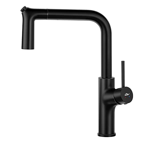 Auralum Robinet Cuisine avec Douchette Extractible, Mitigeur Noir en Acier Inoxydable pour Evier Cuisine, Robinetterie de Cuisine Moderne avec 2 Jets