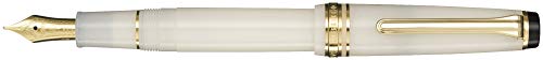Stylo plume Sailor Pro Gear Slim compagnon idéal pour votre carnet et journal