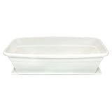  Acan Jardinera eva de plástico con Plato adán 20 litros, 50 cm, Blanca. Macetero, Maceta para Plantas y Flores Rectangular de plástico con Agujeros de Drenaje