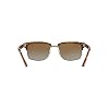 Ray-Ban Men's RB4190 Polarized Square Sunglasses, Demi Gloss Havana, 52mm