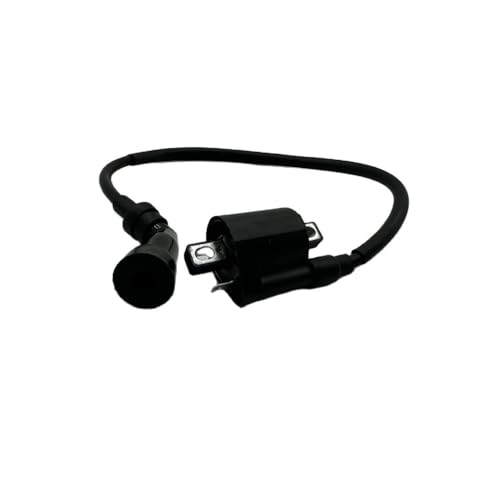 Bobina de encendido para rutas en ATV JS250, componente esencial de 250 cc 4