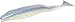 Zoom Swimming Super Fluke Bag, Sexy Shad