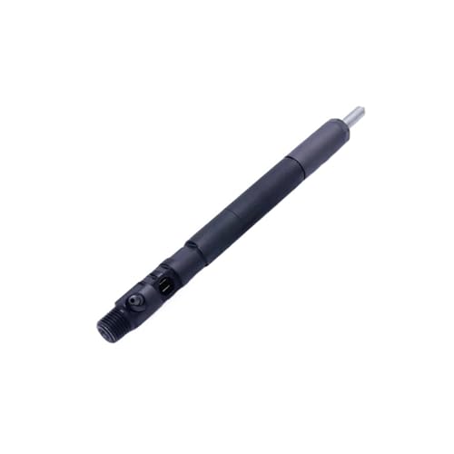 Inyector EJBR04701D común diésel repara pérdida de potencia en Ssangyong Kyron A6640170221 5