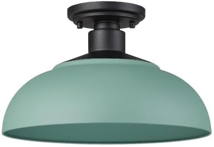 Golden Lighting Levitt 1-Light Outdoor Semi-Flush in Natural Black with Natural Teal