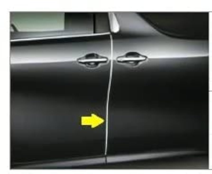 ヴェルファイア　タペストリー Amazon | ドアレザーパネル ヴェルファイア 20系 フルセット CX