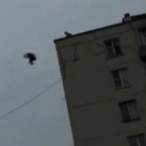 SCP-1681 American Idols