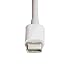 Datacolor Spyder USB-C (Genuine Japanese Product) USB-A to USB-C Converter