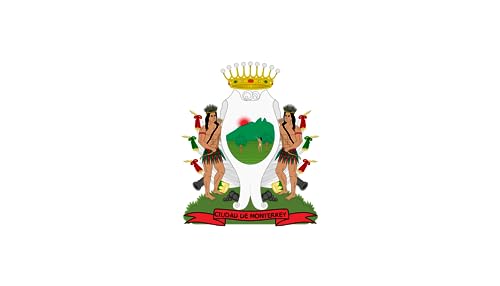 Drapeau Monterrey Nuevo León Mexique grand modèle résistant aux UV - 2