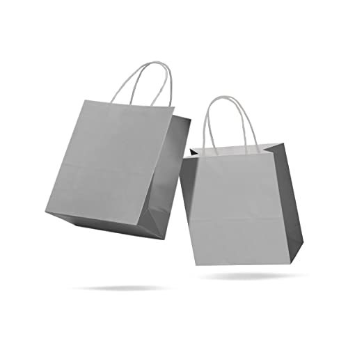 Sacola de Papel Kraft Colorido Reforçada Com Alça Torcida P 18 x 22 x 9cm 10 unidades (Prata)