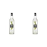 1883 Maison Routin Premium Cane Sugar (Gomme) Syrup for Cocktails, Mocktails, Coffee & Iced Tea Glass 1L (Pack of 2)
