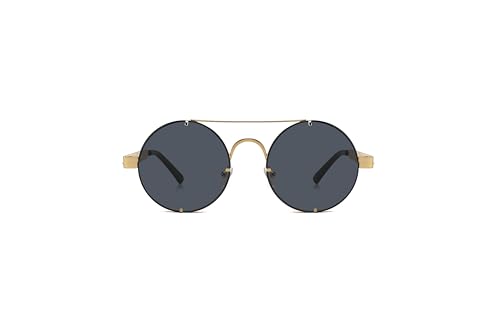 Technigadgets Vinh Round Steampunk Sunglasses Retro Metal Frame Eyeglasses For Men Women Outdoor Fashion Eyewear Driving UV Protection Mens Womens Gift Gold/Black2