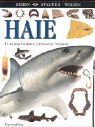 Sehen. Staunen. Wissen. Haie. Urzeitliche Vorfahren, Lebensweise, Verhalten. ( Ab 10 J.). 3831018855 Book Cover