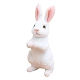 Jouet en peluche confortable : ce jouet est fabriqué à partir d'un matériau super et sûr, pour une utilisation à long terme, décoration pour chambre à coucher, salon, maison, bureau, berceau, voiture et partout que vous aimez, il est lavable, jouet en peluche de dessin animé