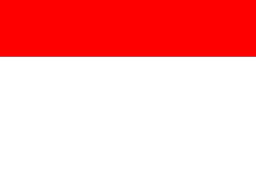 Drapeau Large Montferrat historique grand format maille polyester - 2