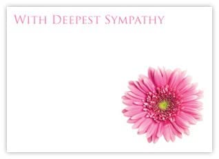 celloexpress Deepest Sympathy (Pink Daisy) Flower Message Cards - 90mm x 125mm - Bereavement Florist Card Sympathy Condolences Notes (Pack of 24)