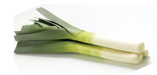 MAELSA® GRAINES EN SACHET POUR POTAGER ET JARDIN - LEGUME - SEMENCES DE LEGUMES DIVERS VARIETES AU CHOIX FAITES DEROULER… (POIREAU D'HIVER ST VICTOR)