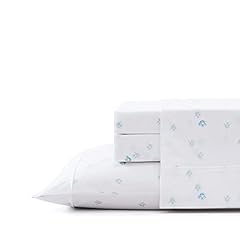 Cool Zone Angel Fish