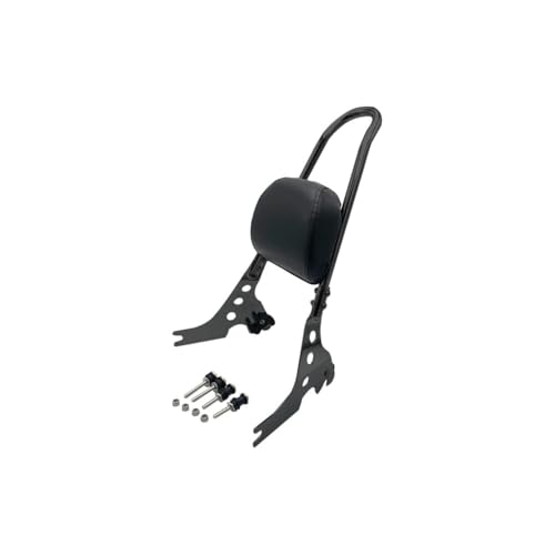 Dossier passager amovible Sportster 1200 contre la fatigue