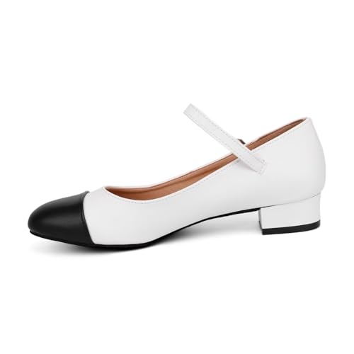 Character Shoes for Women Dance Shoes,Stylish Ankle Strap Low Heels for Ballroom,Salsa,Tango 6