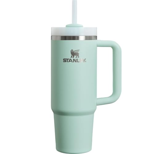 Stanley H2.0 - Quencher al vacío, 0,88 L (0,88 L), menta, aislamiento frío, duradero, botella de agua con pajilla, para verano, al aire libre, apto para lavavajillas