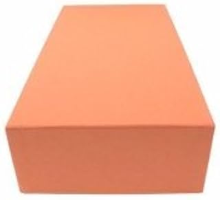Guardhouse Heavy Duty Quarter Coin Tube Box 12x6x3.75 Orange