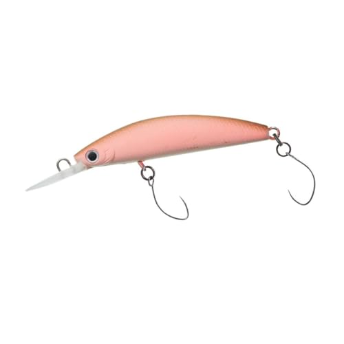 _C(DAIWA) GA gEg vb\ _uNb` 60F1 tuned by HMKL }bgO[T[ A[