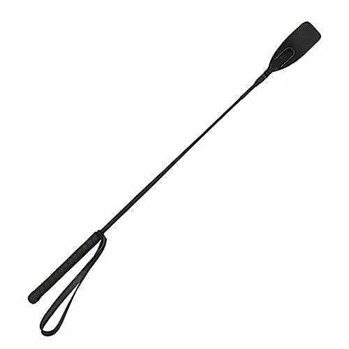 np̕ n S~ߏQV[gzCbvXgbvXgoh npi n np